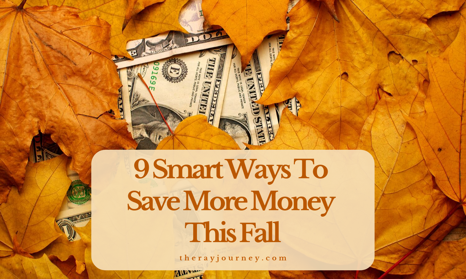 Saving Tips: 9 Smart Ways To Save More Money This Fall – The Ray Journey
